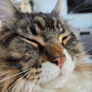 I Grew Up And Now I'm 2 Years Old!   I'm Dewey!